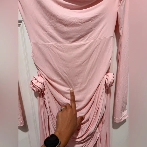 Lioness Long-Sleeve Blush Dress - Picture 11 of 13